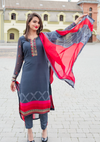 Festive Punjabi Salwar Suit